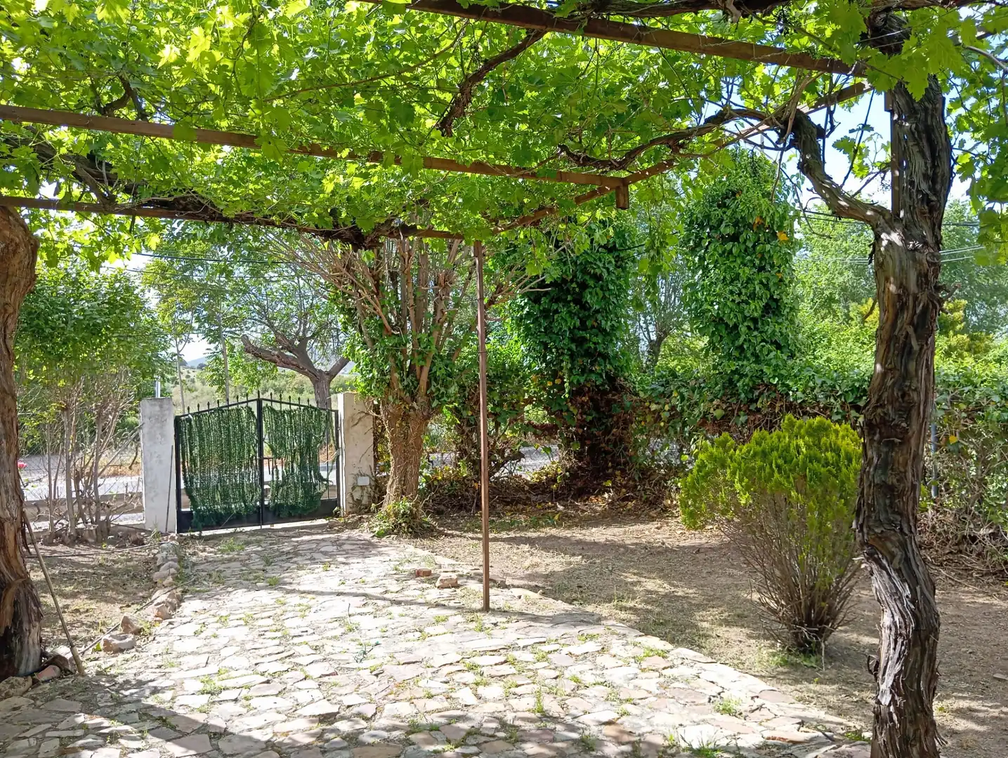 Garten von Haus oder Chalet zum Verkauf in Miguelturra mit Privatgarten und Abstellraum