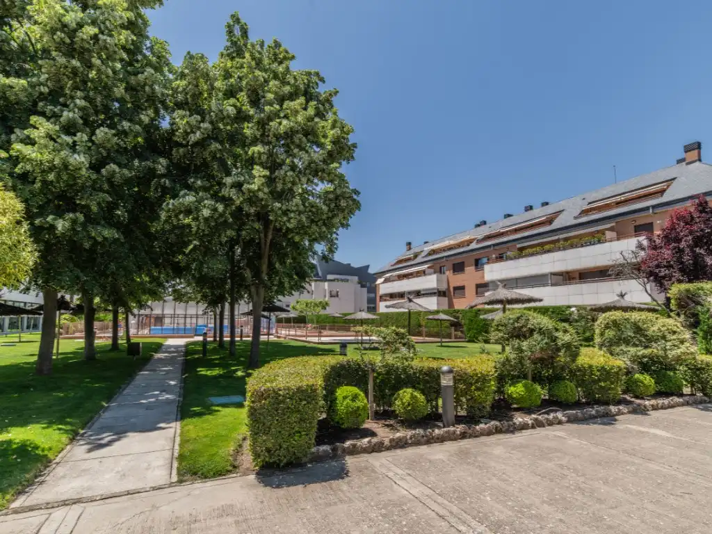 Dúplex de lloguer a Avenida Principe de Asturias, Zona Monte El Pilar
