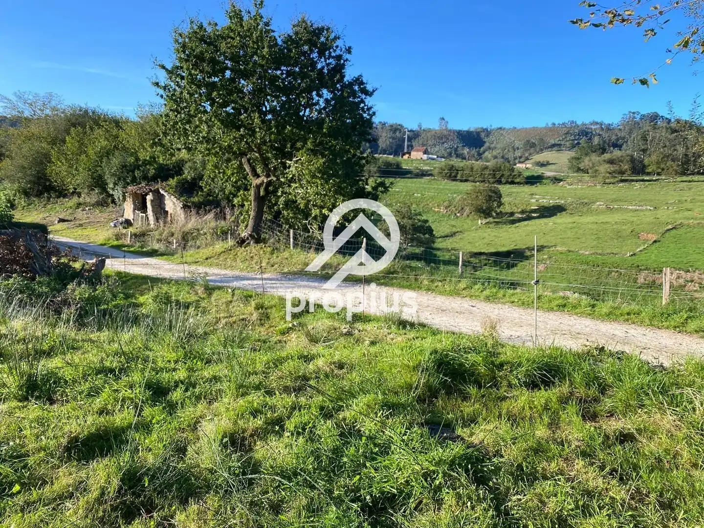 Terreno residencial en venta en LA BORBOLLA, imagen 5