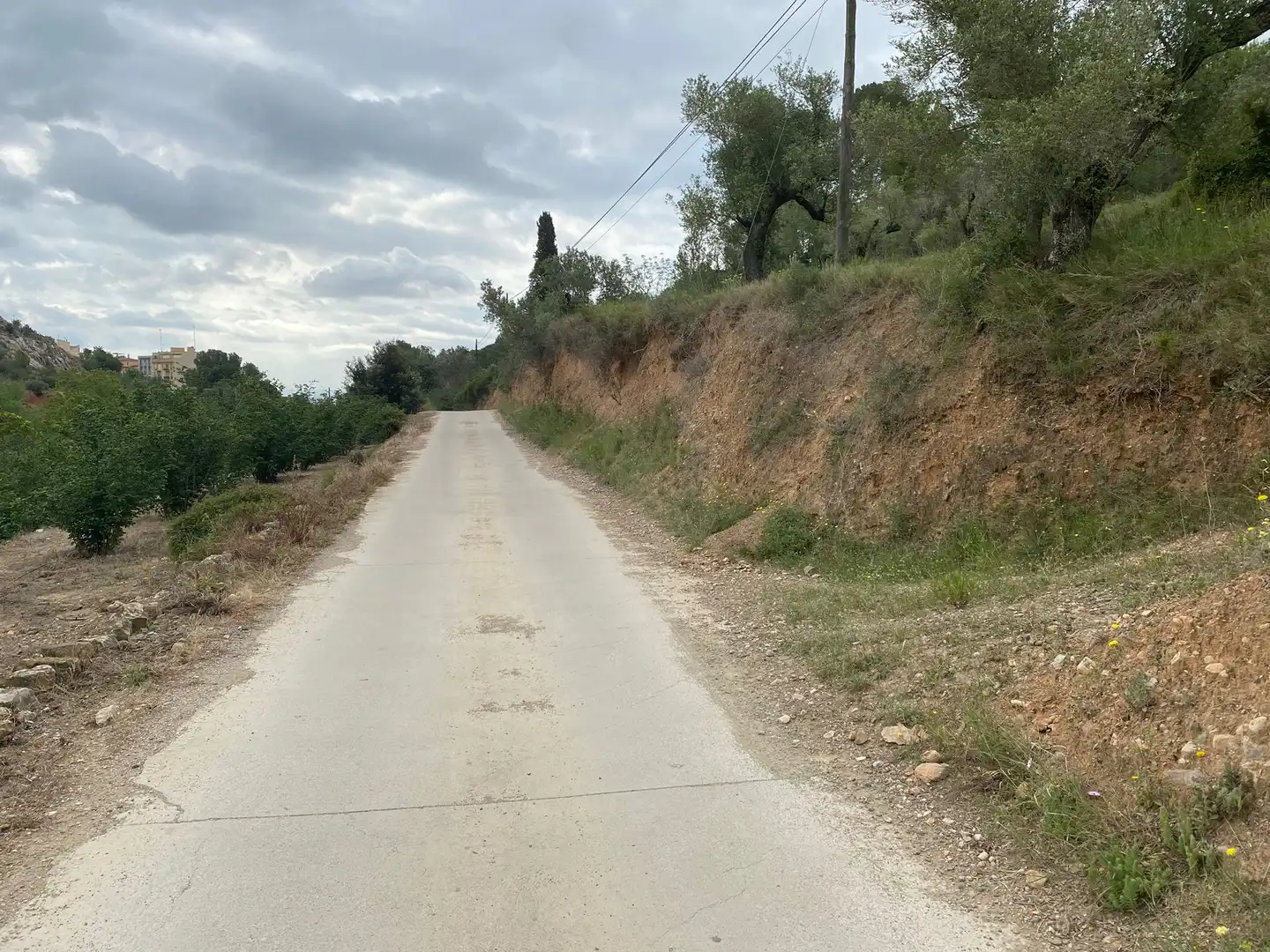Terreny residencial en venda a Castellvell del Camp, imagen 5