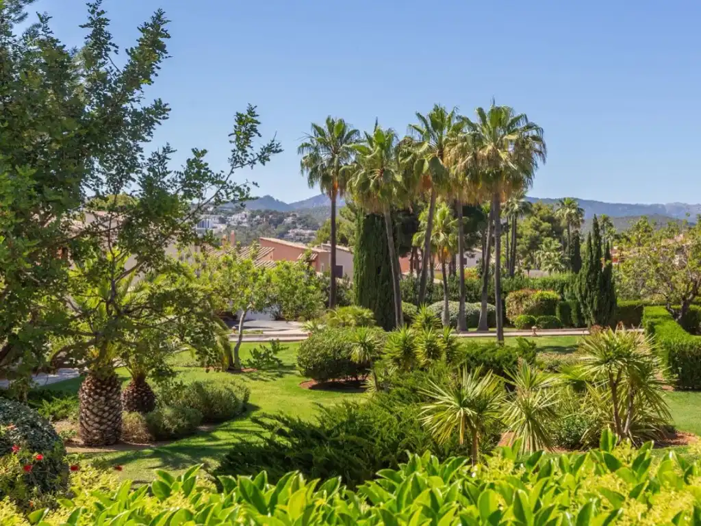 Piano terra con piscina in vendita a Santa Ponça, imagen 18