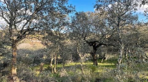 Foto 3 de Residencial en venda a N/a, -1, Centro Ciudad, Cáceres