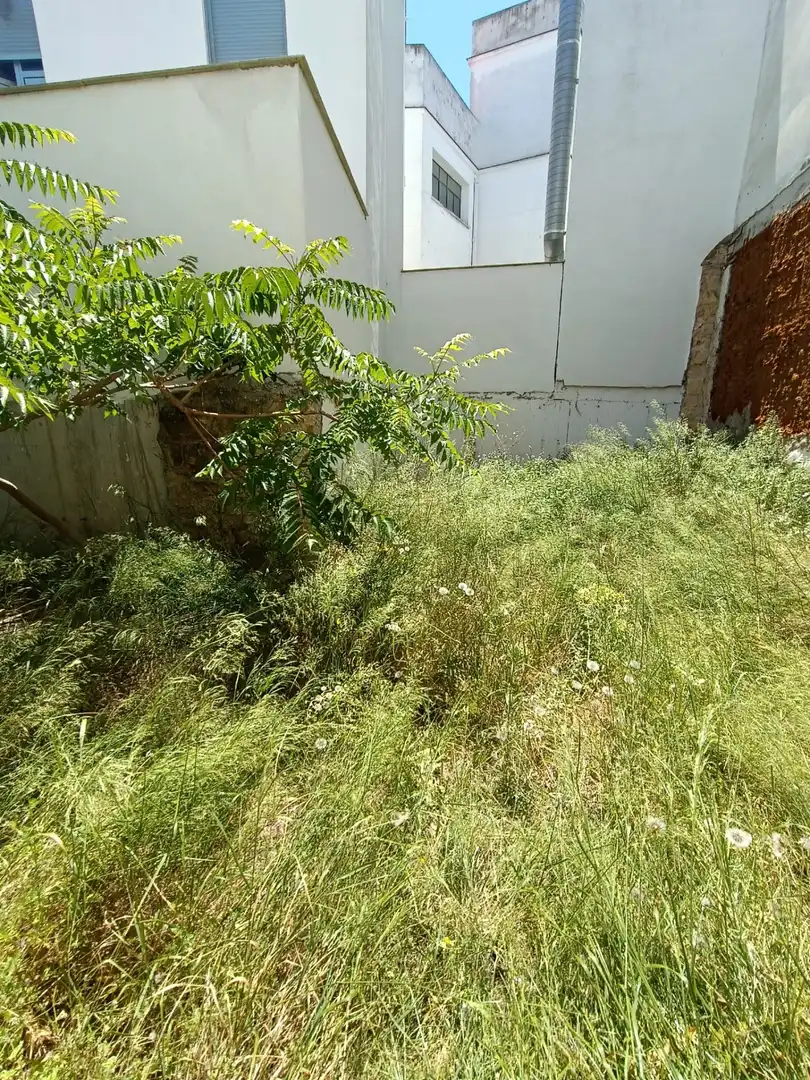 Maison avec jardin à vendre à Centro, imagen 16