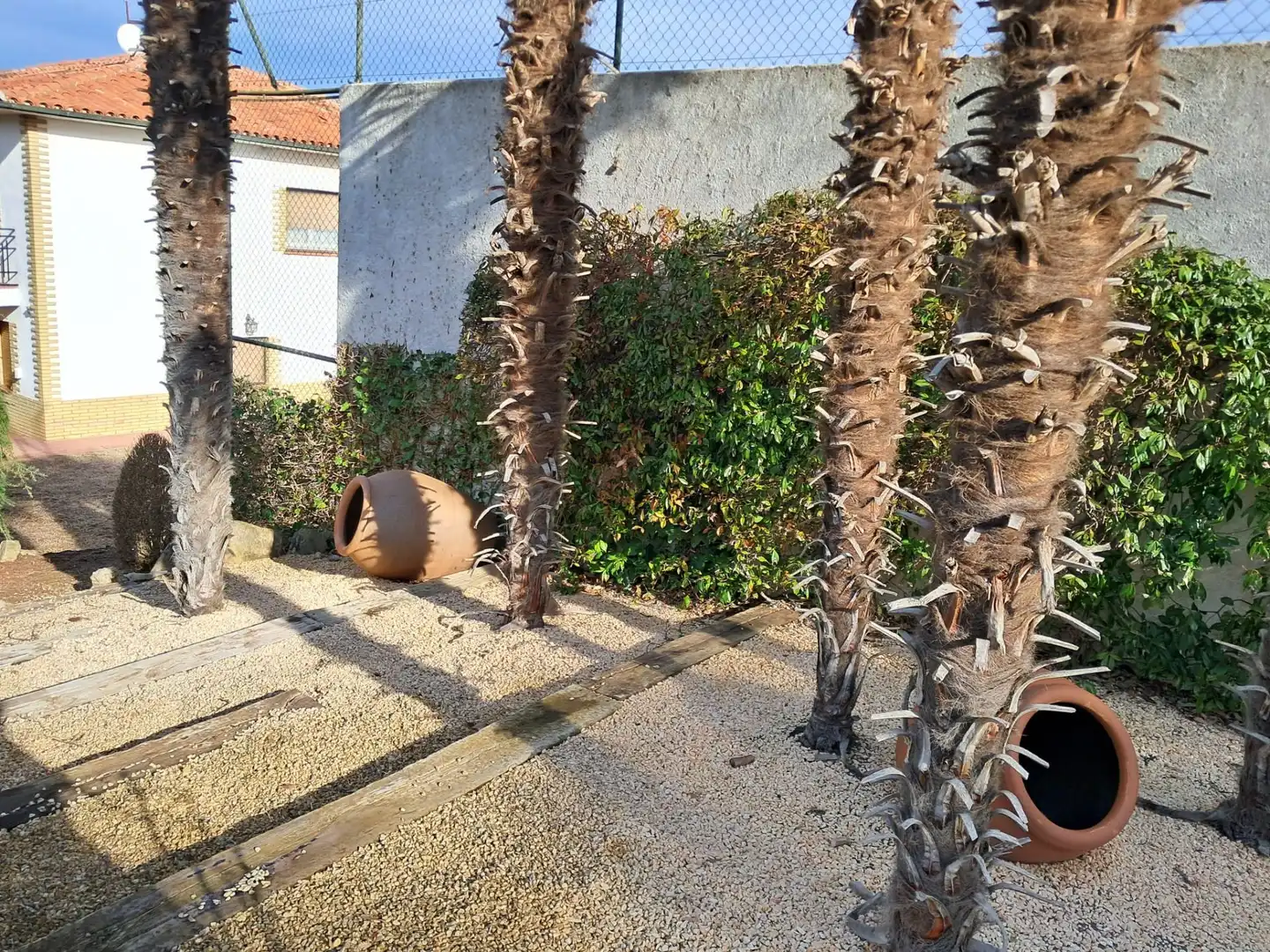 Terraza de Casa o chalet en venta en Olius