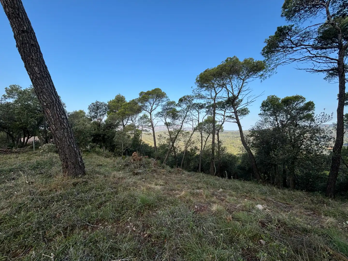 Residential land for sale in Carrer Pasarell, imagen 17
