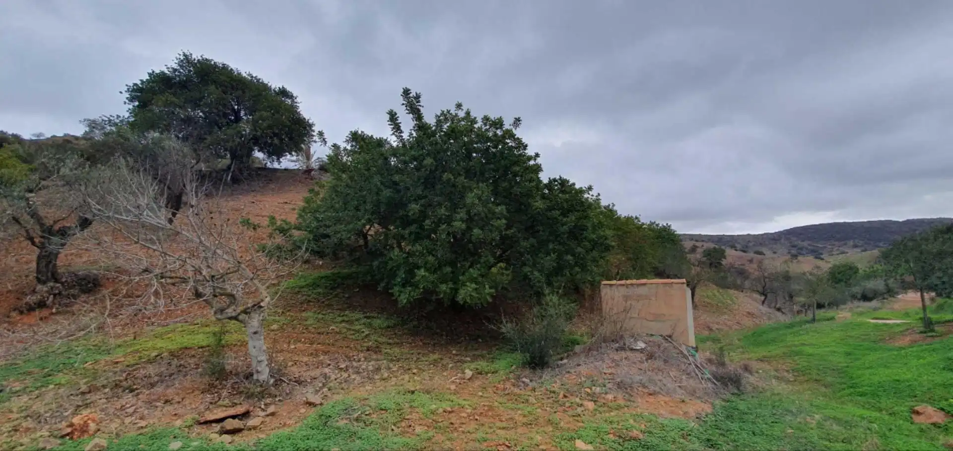 Terreni e lotti in vendita a Cártama pueblo, imagen 10