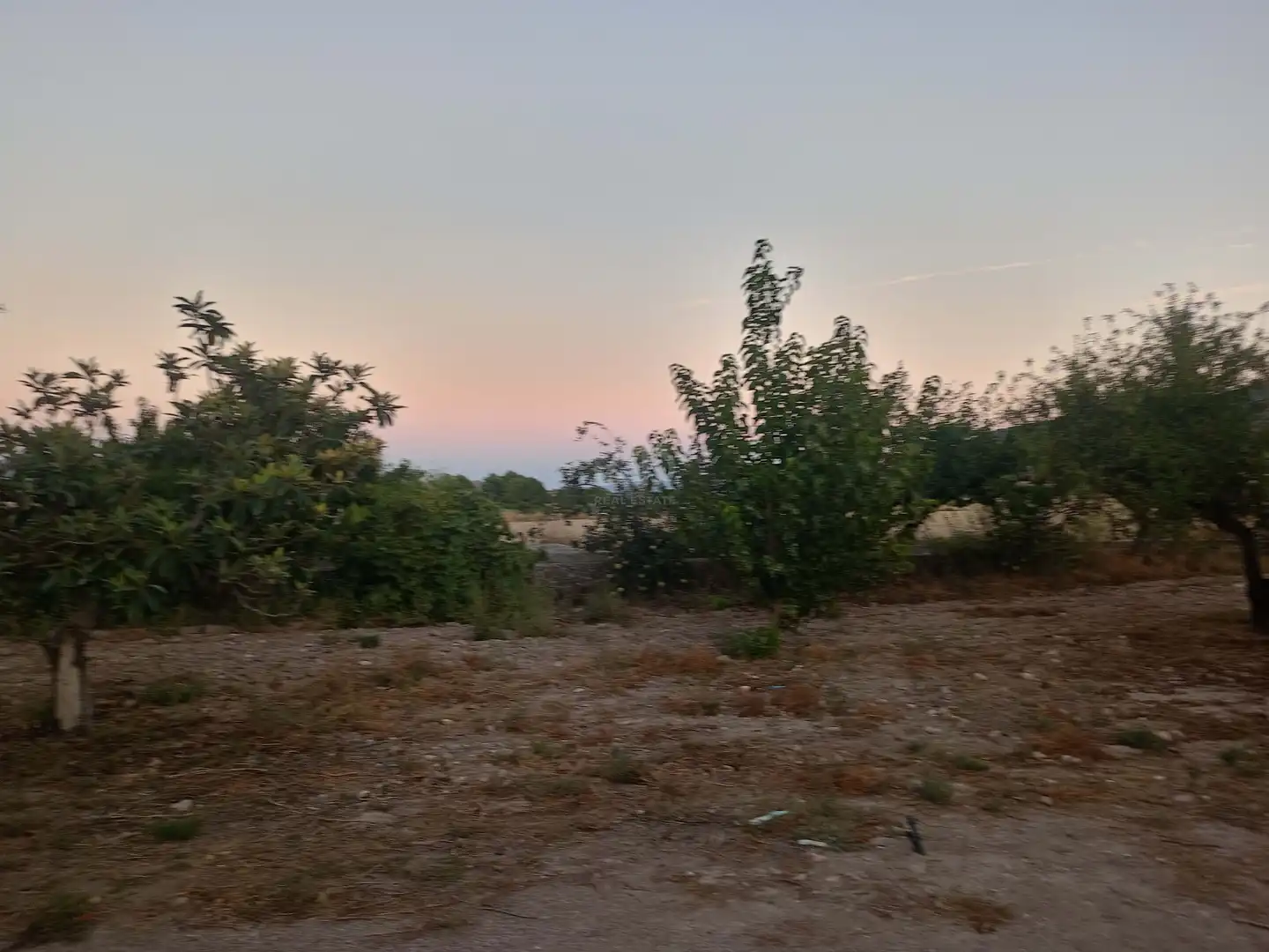 Country homes for sale in Lorca