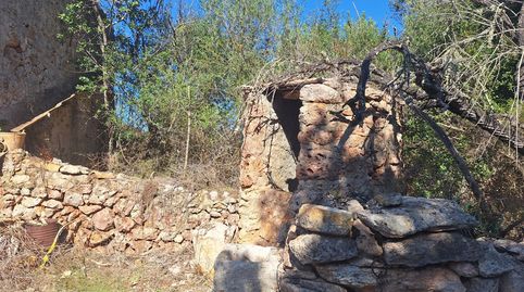 Foto 4 de Finca rústica en venta en Costitx, Illes Balears