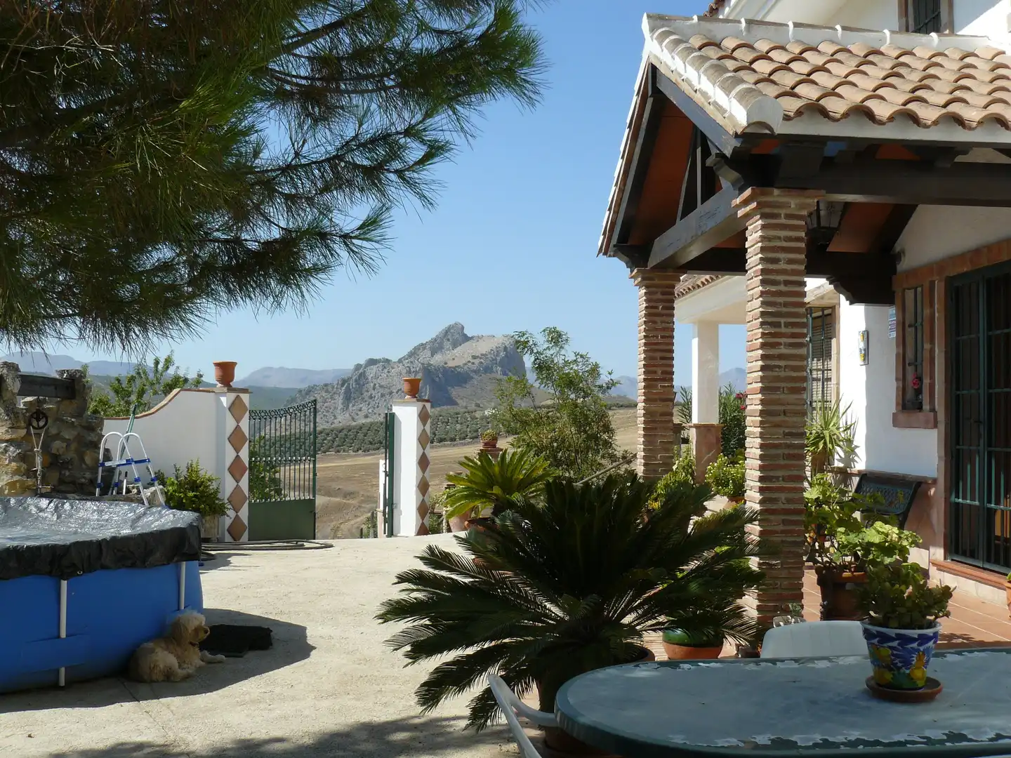 Garden of Country homes for sale in Archidona  with Terrace, Storage room and Furnished
