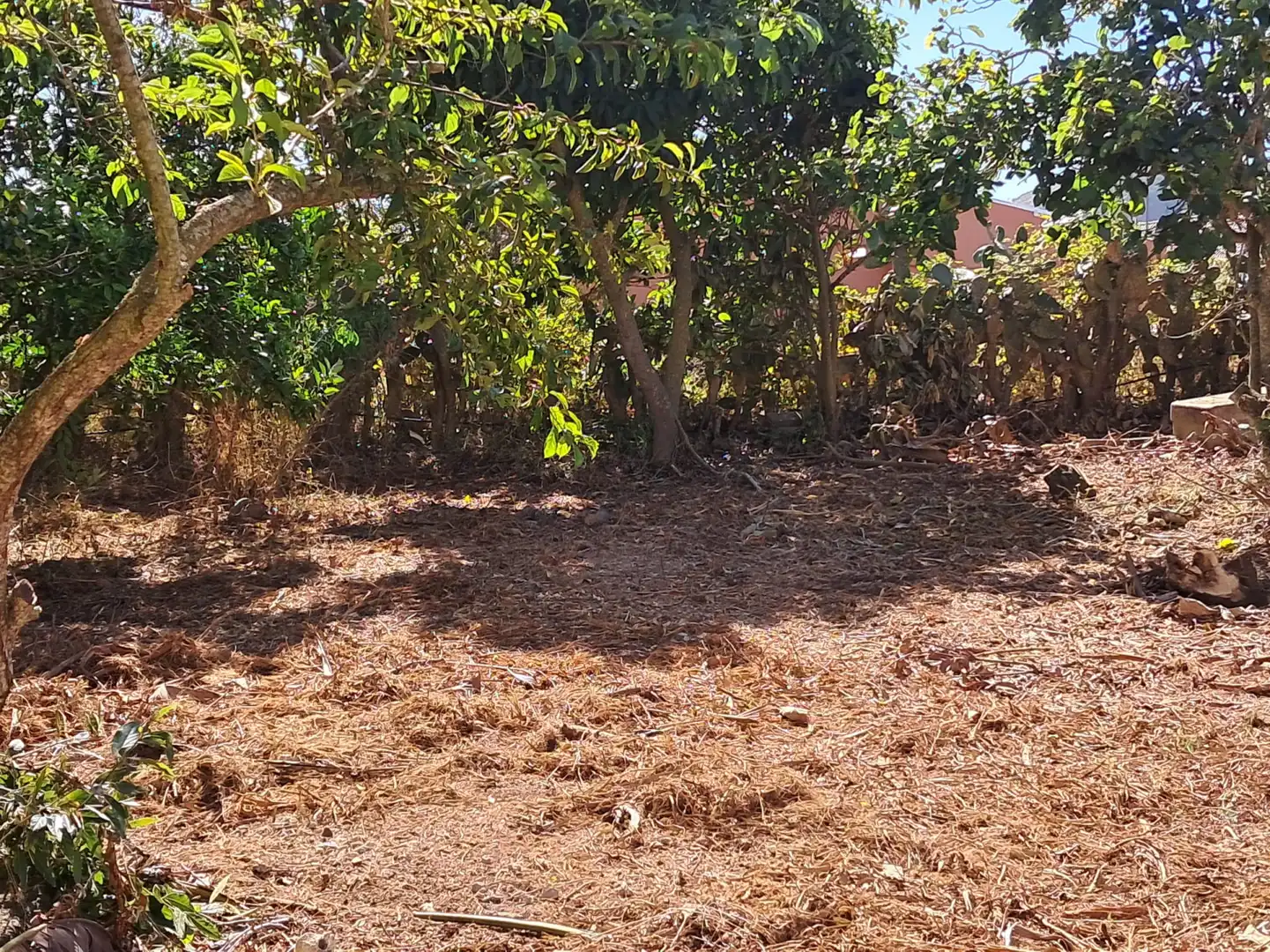 Casa o xalet en venda en San Cristóbal de la Laguna amb Jardí privat