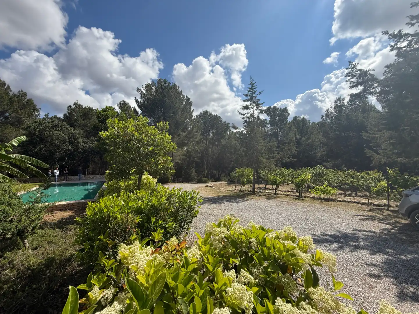 Xalet amb piscina en venda a Santa Gertrudis, imagen 14
