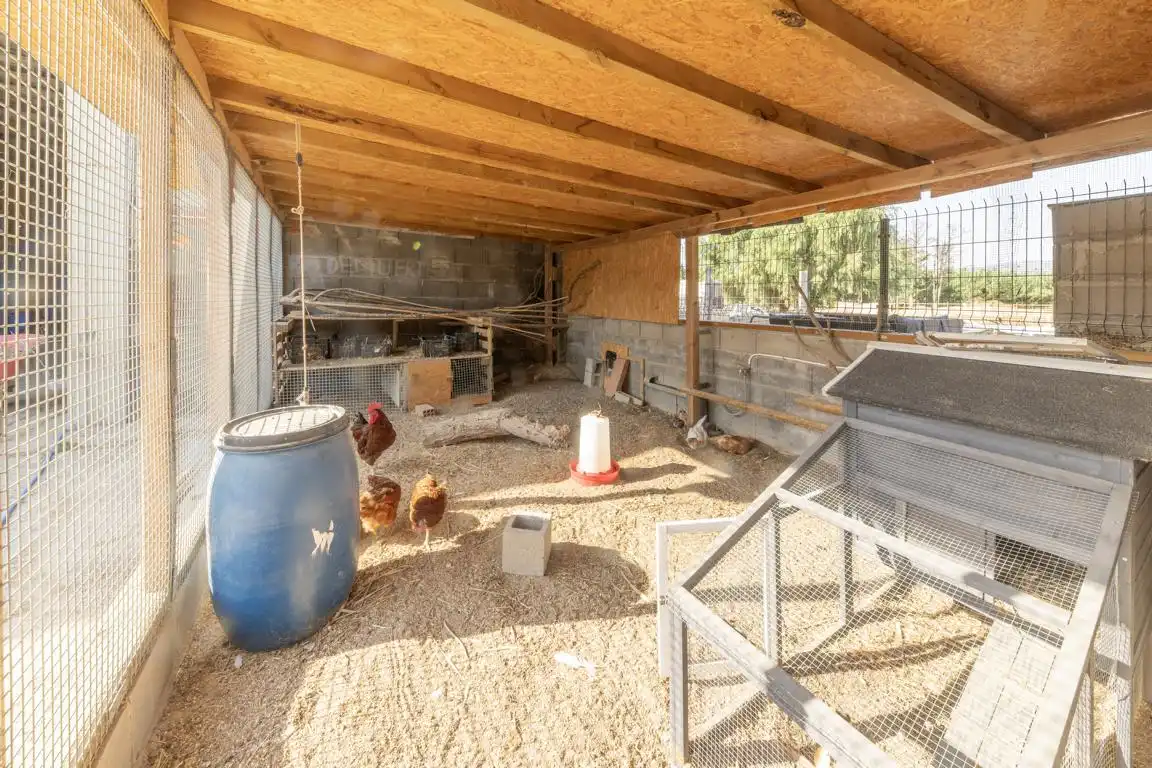 Rural land for sale in Carretera, imagen 35