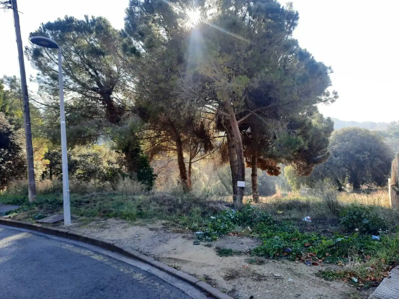 Terreny rústic en venda a Calle COMAPEDROSA, imagen 3