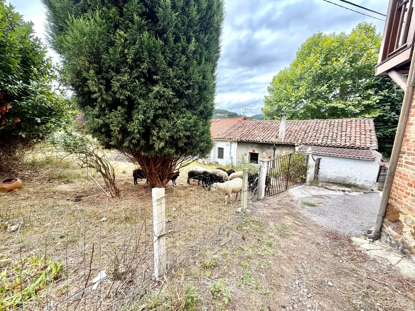 Haus zum Verkauf in PANDO 32, imagen 5