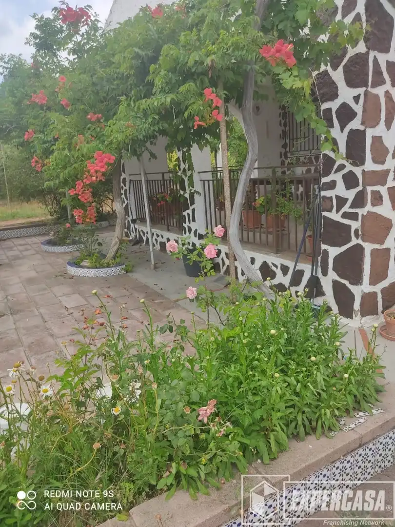 Jardín de Casa o chalet en venta en Vilamarxant con Aire acondicionado, Calefacción y Terraza
