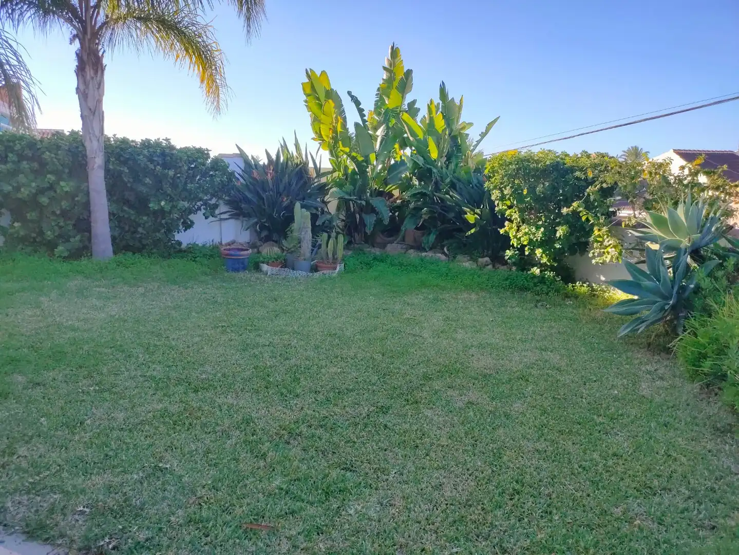 Jardín de Casa o chalet en venta en Caleta de Vélez