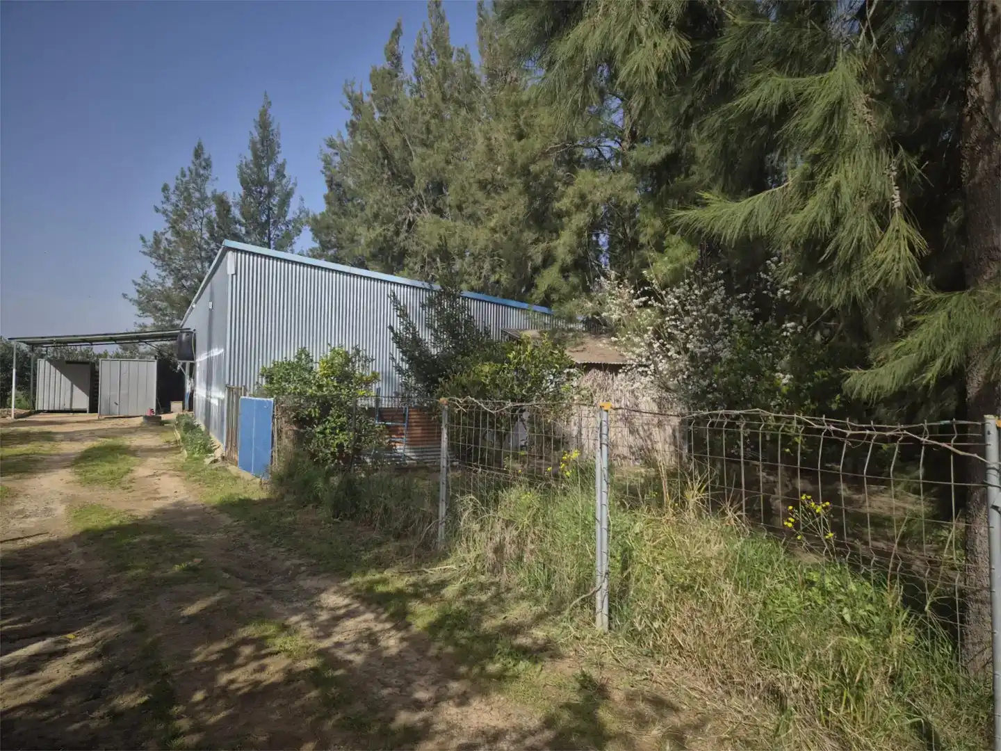 Vista exterior de Finca rústica en venda en Carrión de los Céspedes