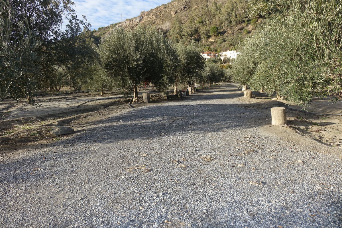 Exterior view of Country house for sale in Órgiva