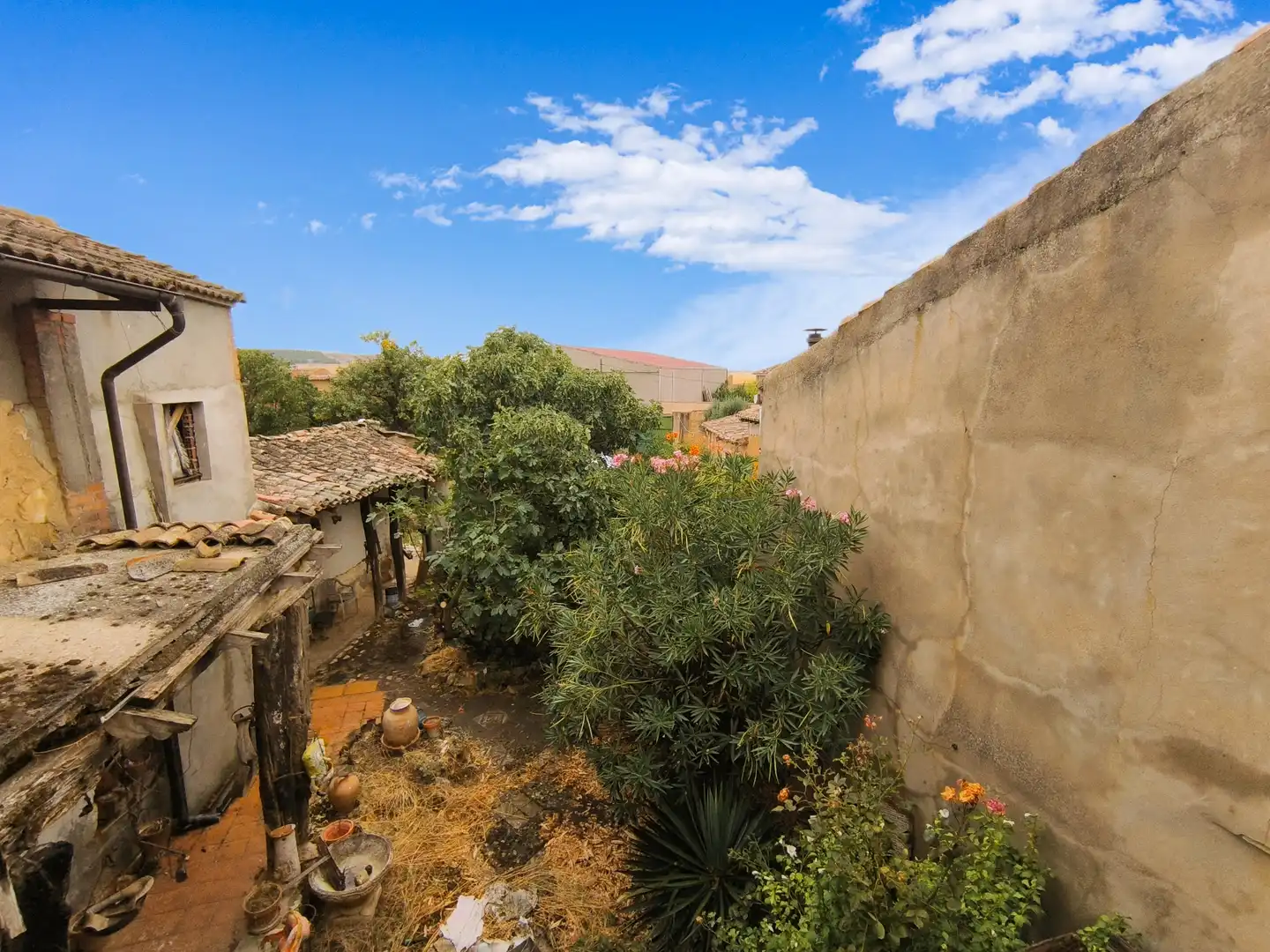Jardín de Casa o chalet en venta en Pedraza de Campos con Calefacción, Jardín privado y Terraza