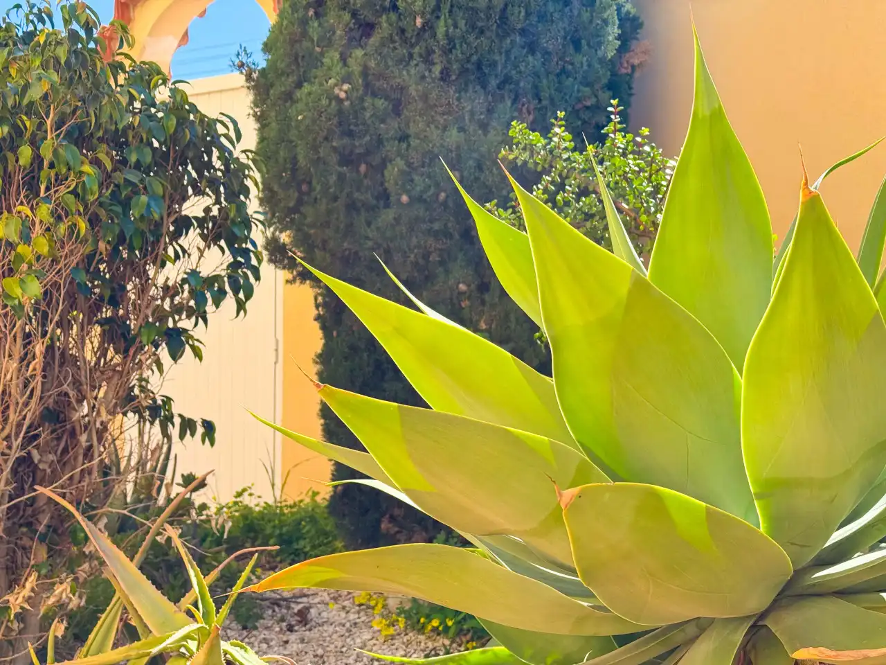 Villa mit Terrasse zum Verkauf in La Mata, imagen 76