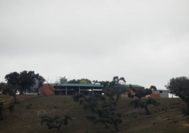 Finca rústica en Venta en Larrodrigo