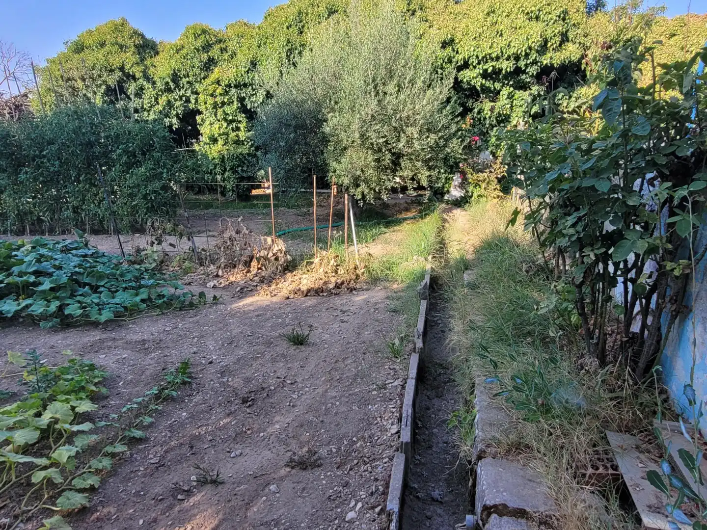 Terrenos y solares en venta en de Codis, imagen 3