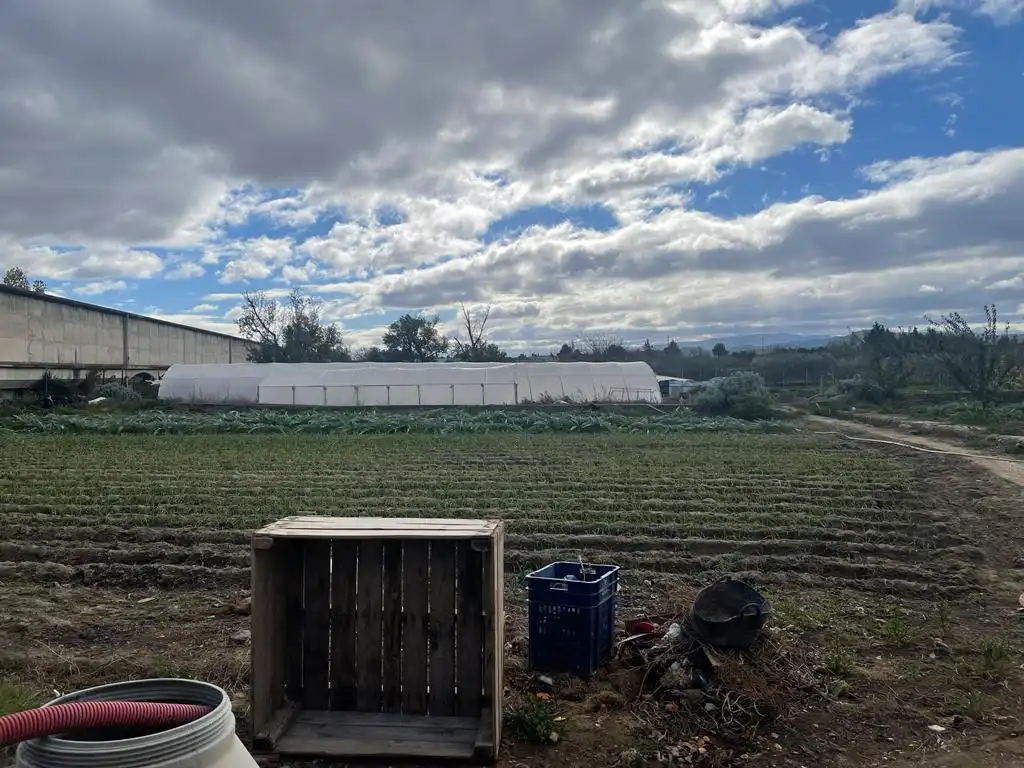 Terreno rustico in vendita a Calahorra, imagen 23