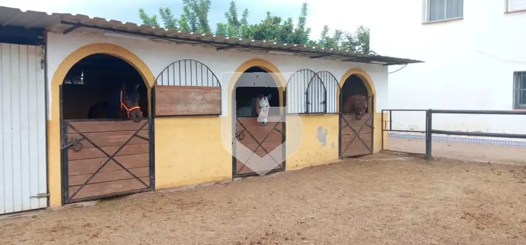 Vista exterior de Casa o xalet en venda en Castellón de la Plana / Castelló de la Plana