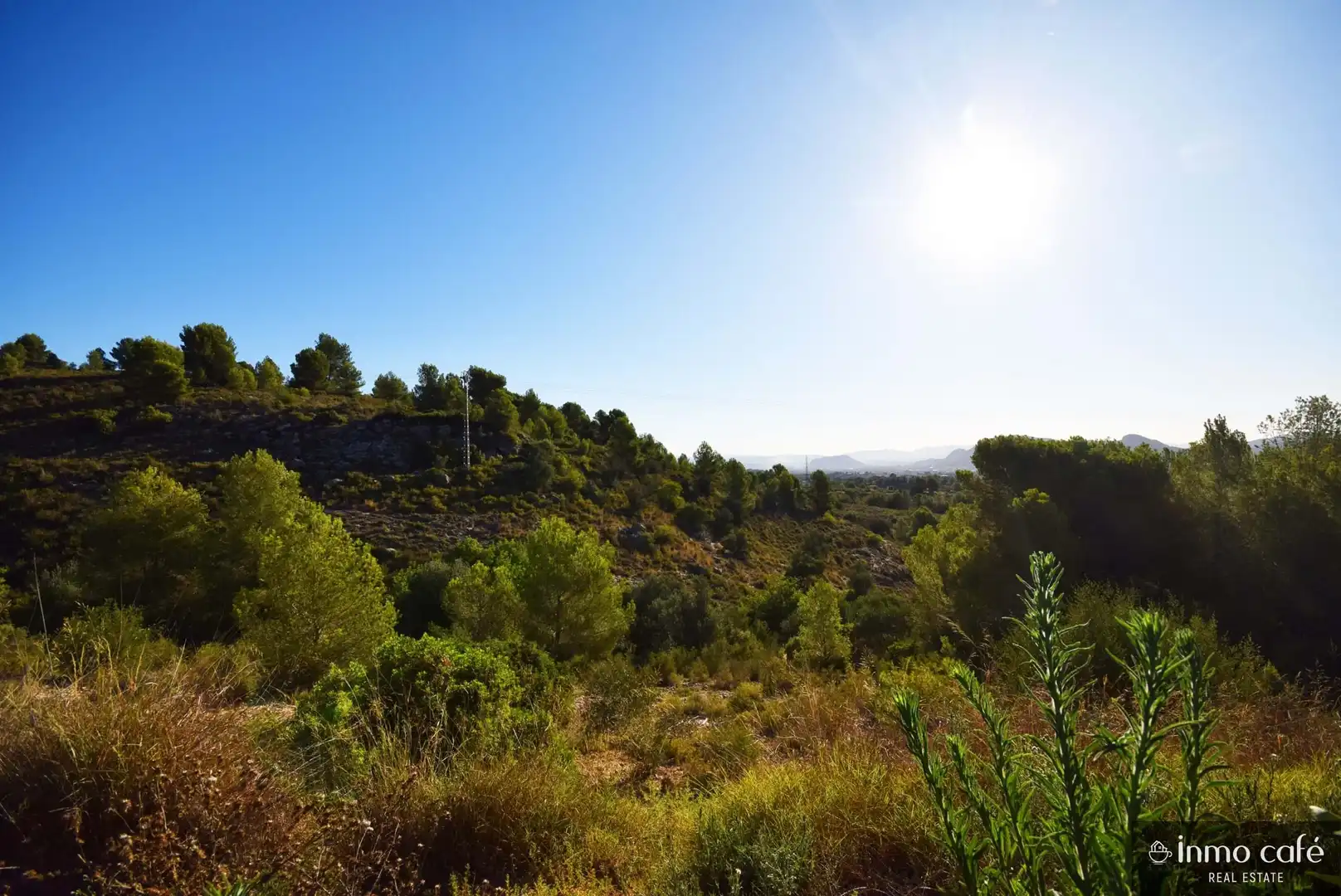 Terreny rústic en venda a L'Alcúdia de Crespins, imagen 6