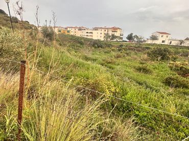 Terreno residenziale in vendita a Calle Las Adelfas