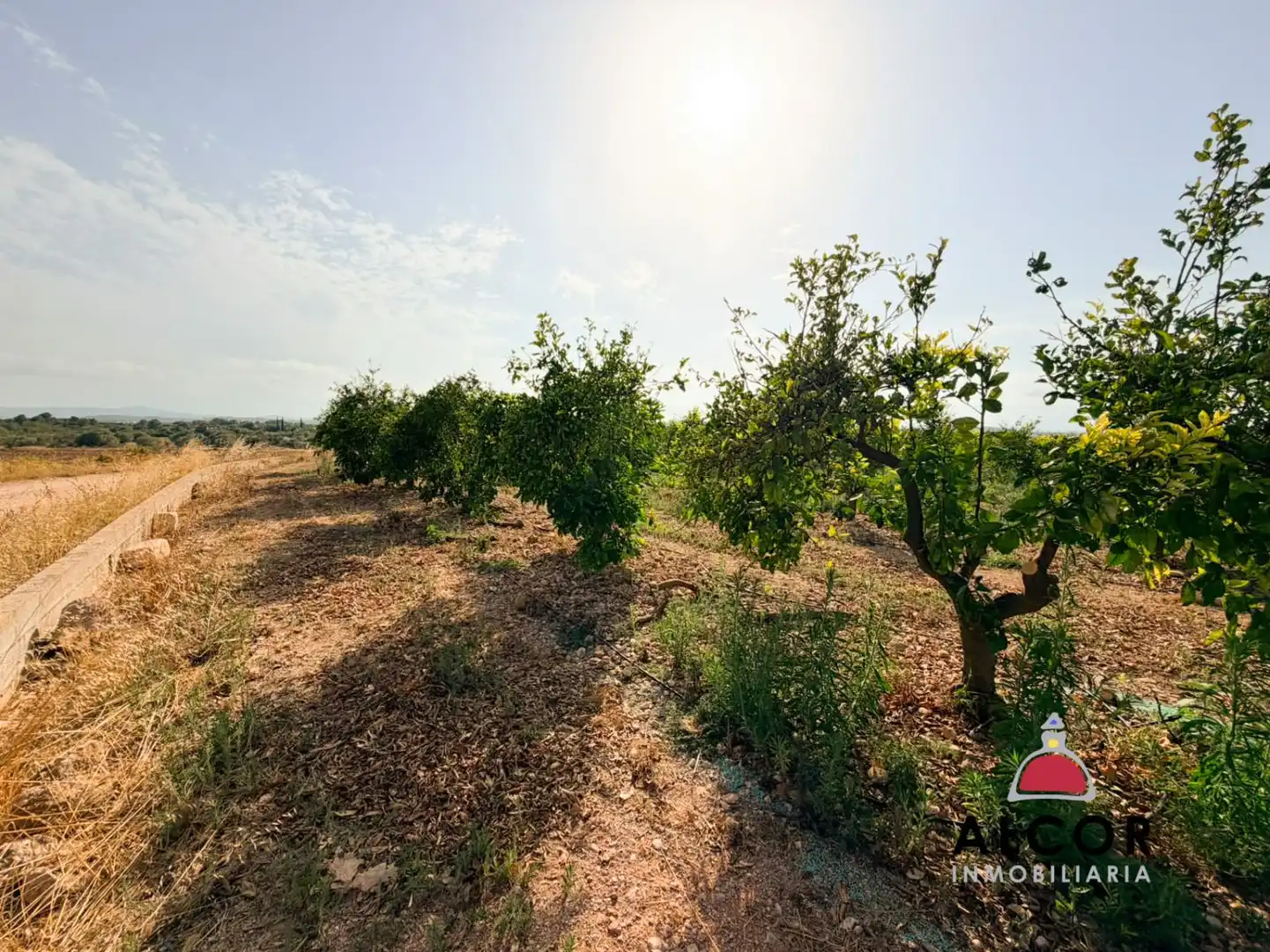 Terrenos y solares en venta en Pueblo