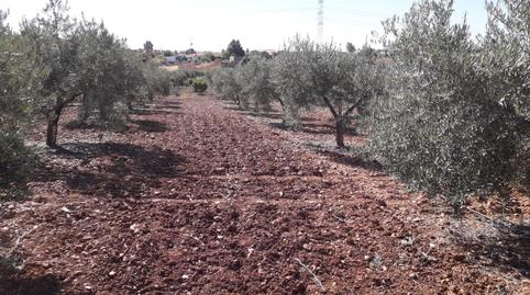 Photo 4 of House or chalet for sale in La Coronada, Badajoz