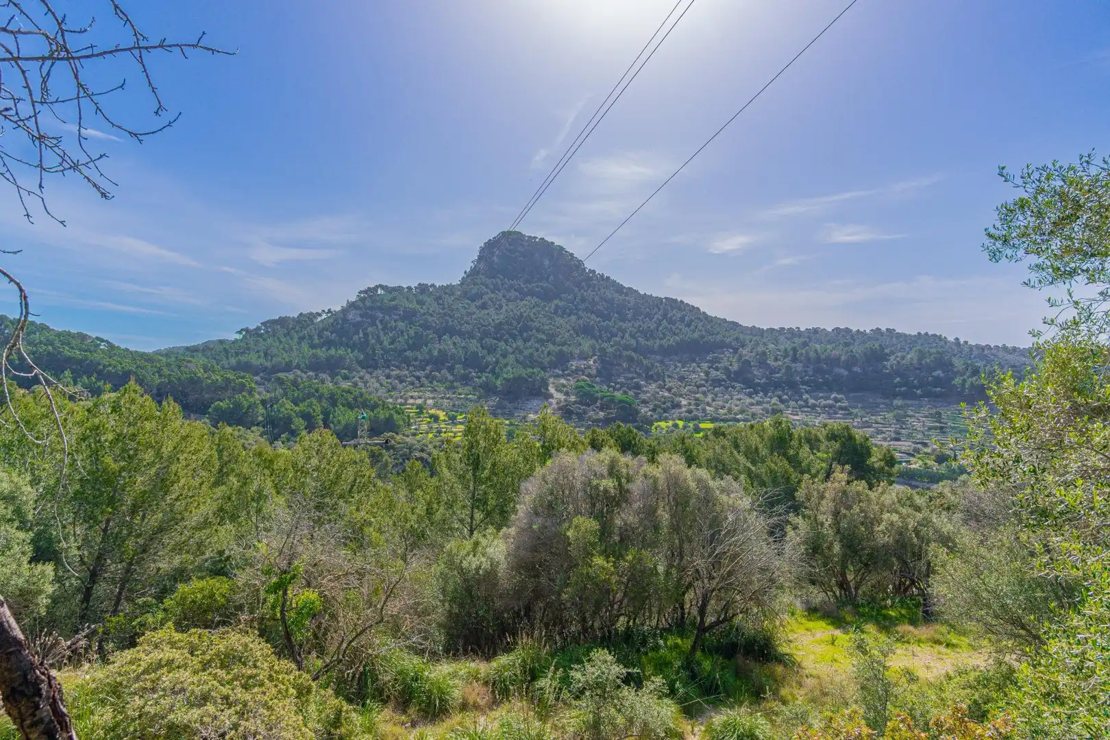 Finca rústica en venta en Puigpunyent con Jardín privado, Terraza y Trastero