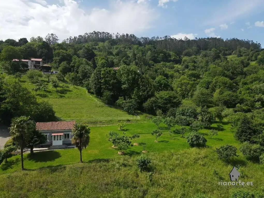Casa o chalet en venta en Oviedo  con Calefacción y Jardín privado