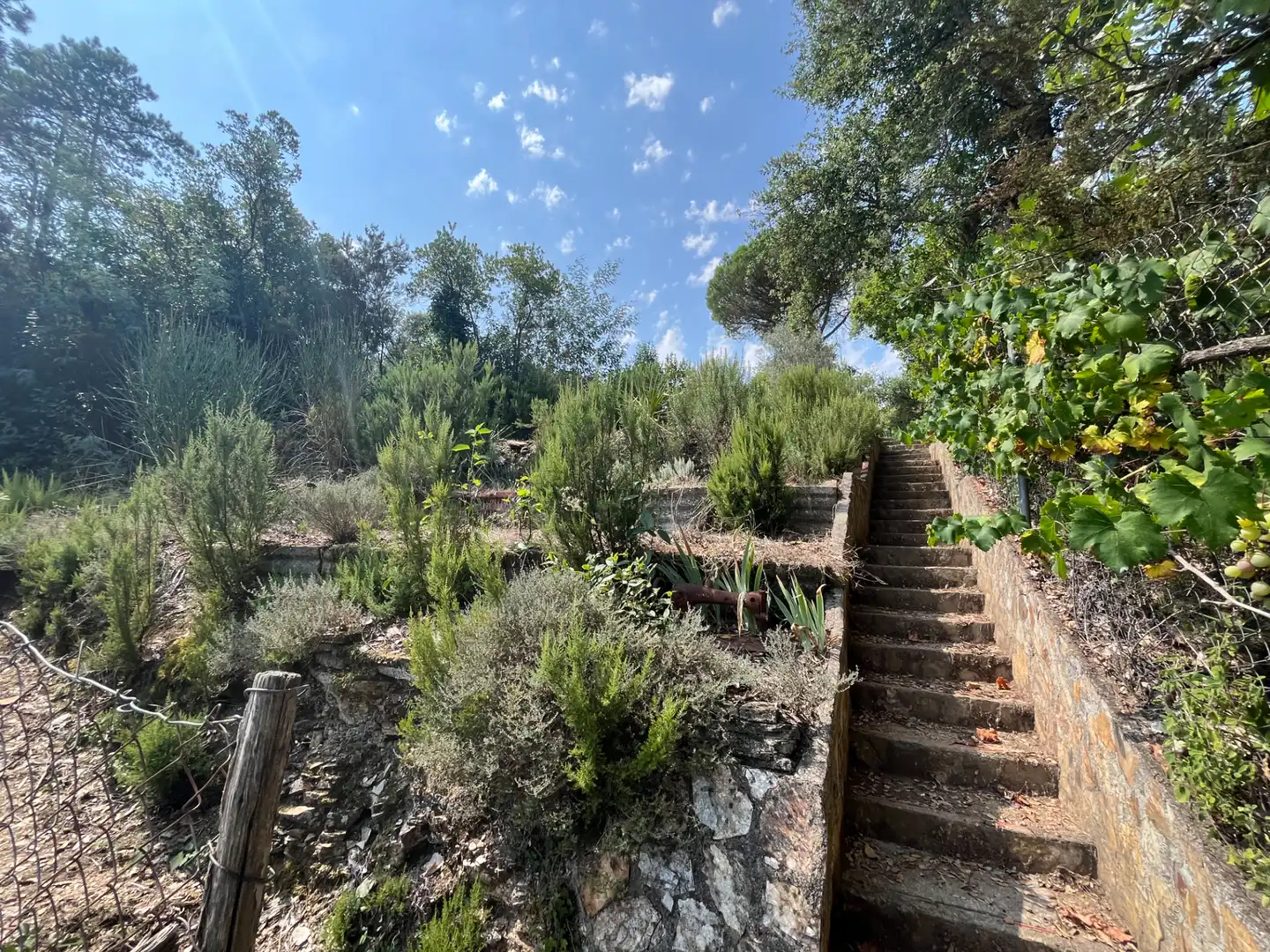 Jardín de Terreno en venta en Sant Martí de Llémena