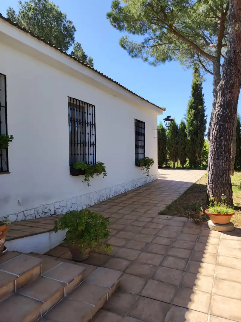 Jardín de Casa o chalet en venta en Ciudad Real con Aire acondicionado, Calefacción y Jardín privado