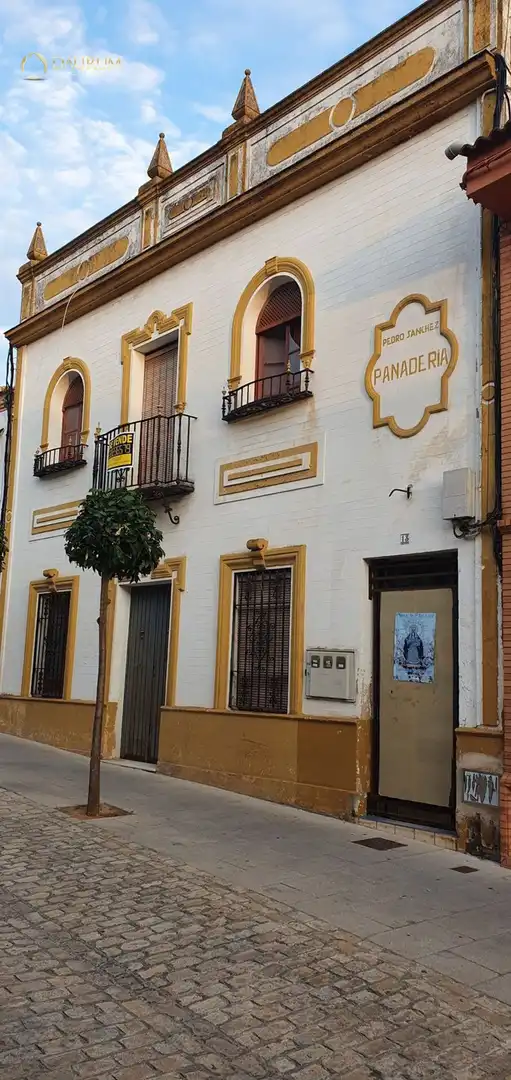 Vista exterior de Casa o chalet en venta en Bormujos con Terraza, Piscina y Piscina comunitaria