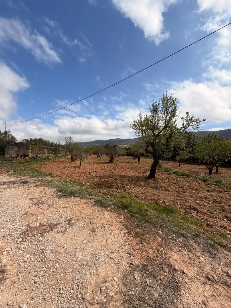 Terreno rústico en venta en CV-806, imagen 3