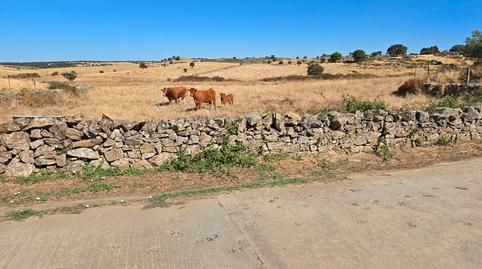 Photo 4 of Land for sale in N/a, -1, Villa del Rey, Cáceres