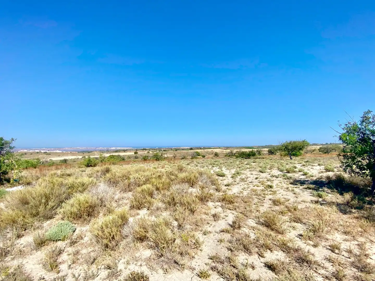 Terrenos y solares en venta en San Miguel de Salinas, imagen 23