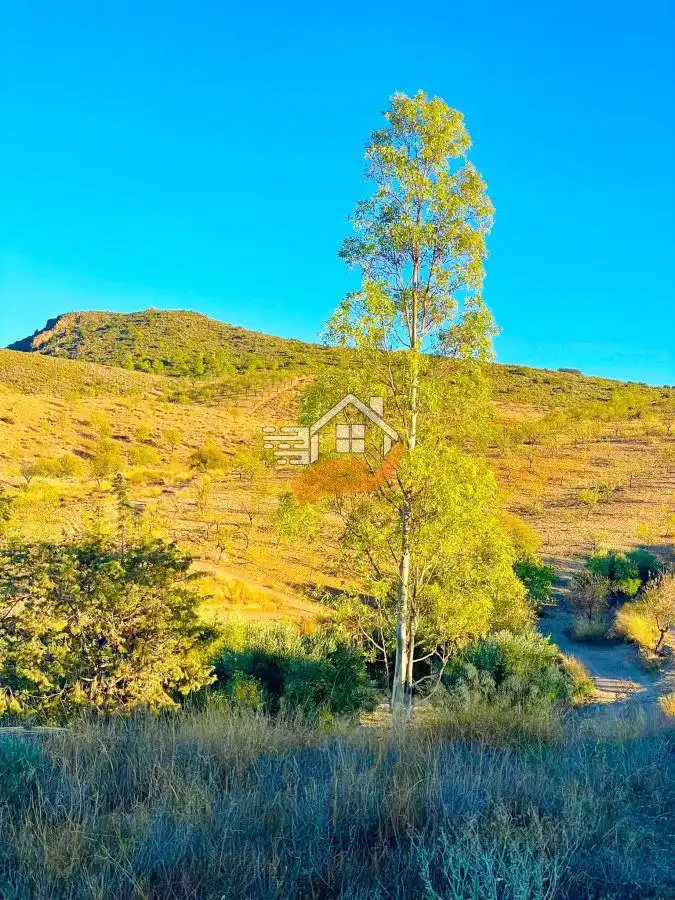 Country house for sale in Vélez-Rubio, imagen 8