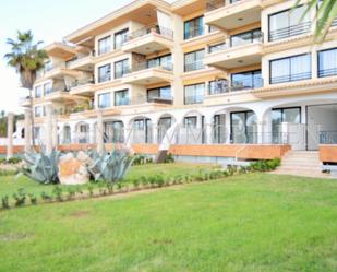 Vista exterior de Planta baixa de lloguer en  Palma de Mallorca amb Aire condicionat, Terrassa i Balcó