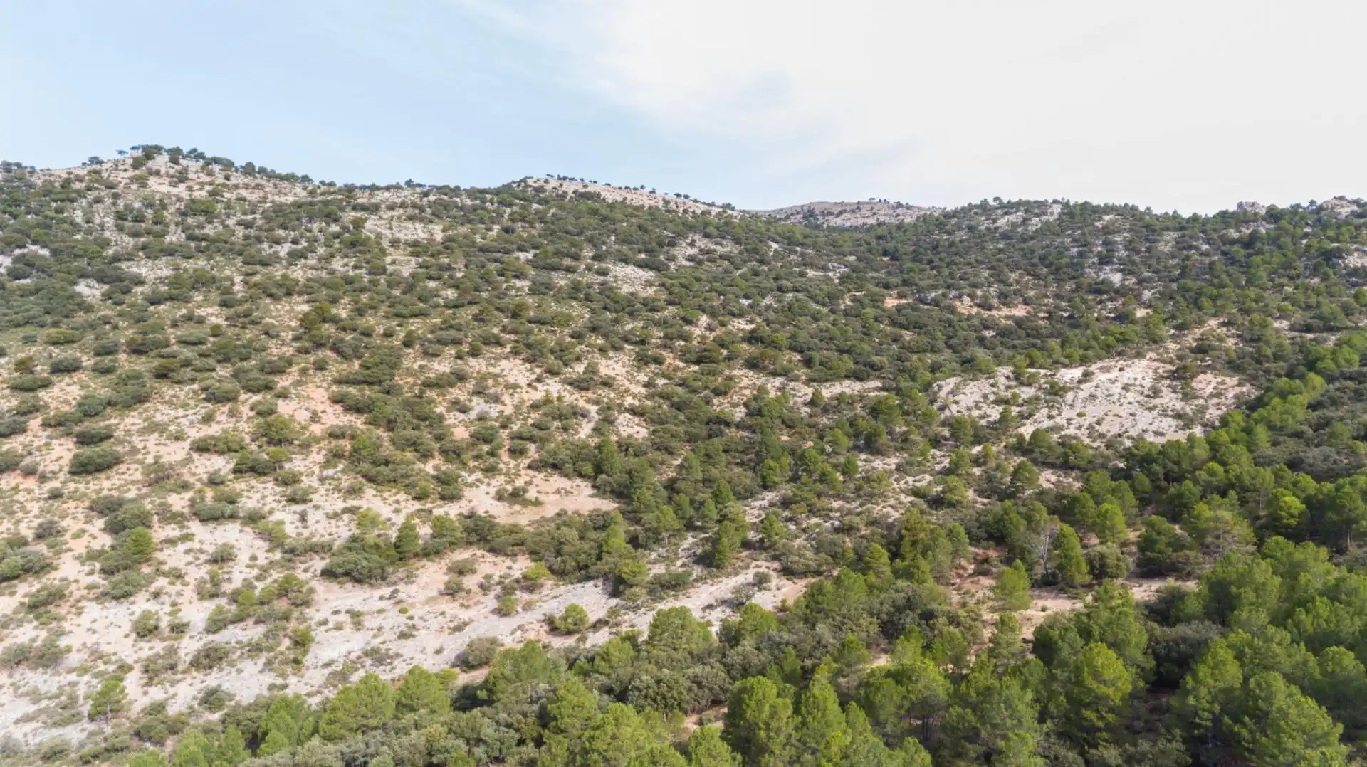 Casa o chalet en venta en Castril con Calefacción, Jardín privado y Parquet