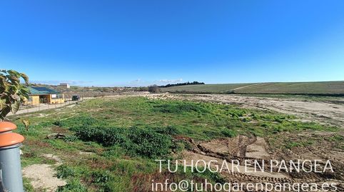 Photo 5 of Land for sale in Casarrubios del Monte pueblo, Casarrubios del Monte