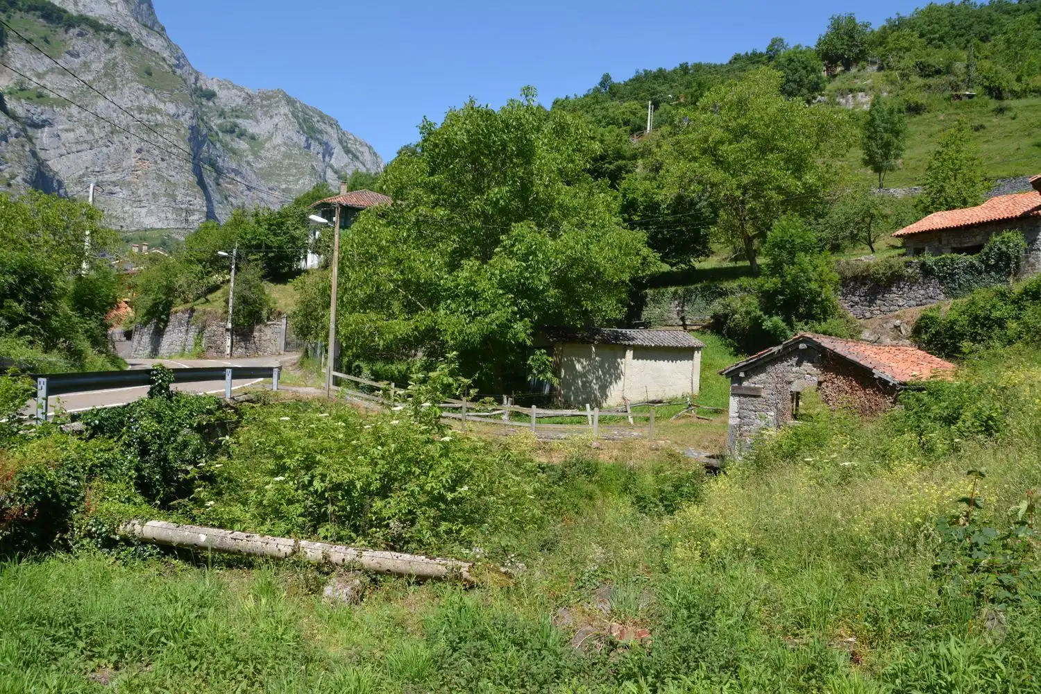 Houses for sale in Oseja de Sajambre