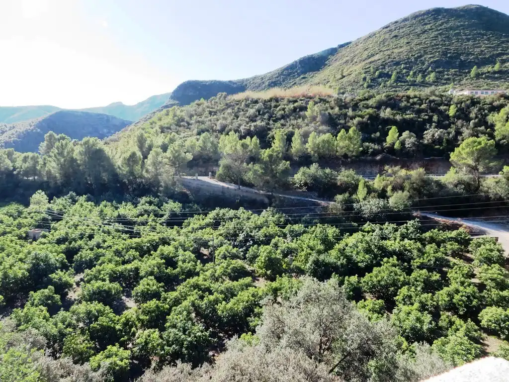 Vista exterior de Casa o xalet en venda en L'Atzúbia amb Jardí privat, Terrassa i Traster