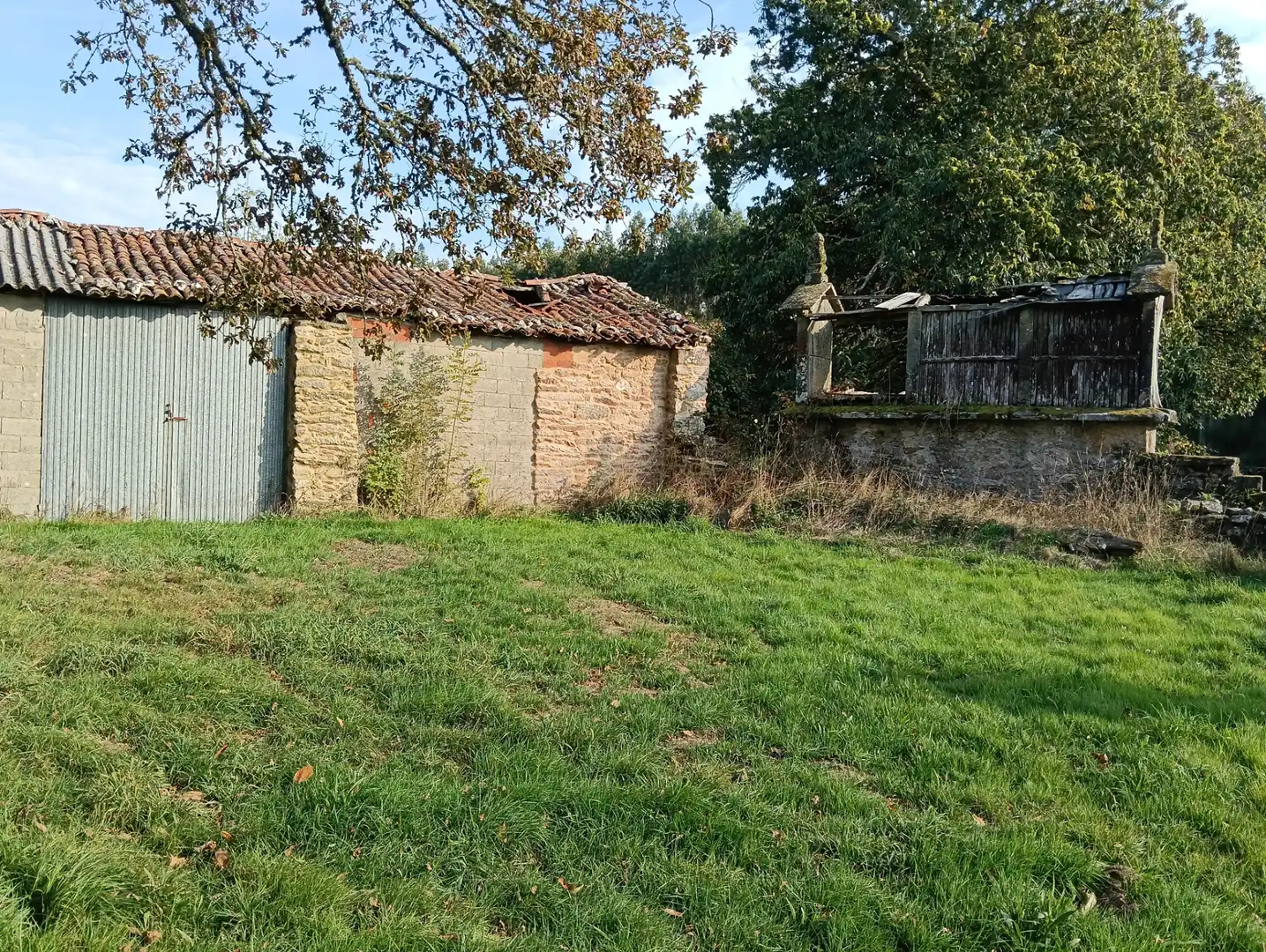 Casa con jardín en venta en Curtis, imagen 15