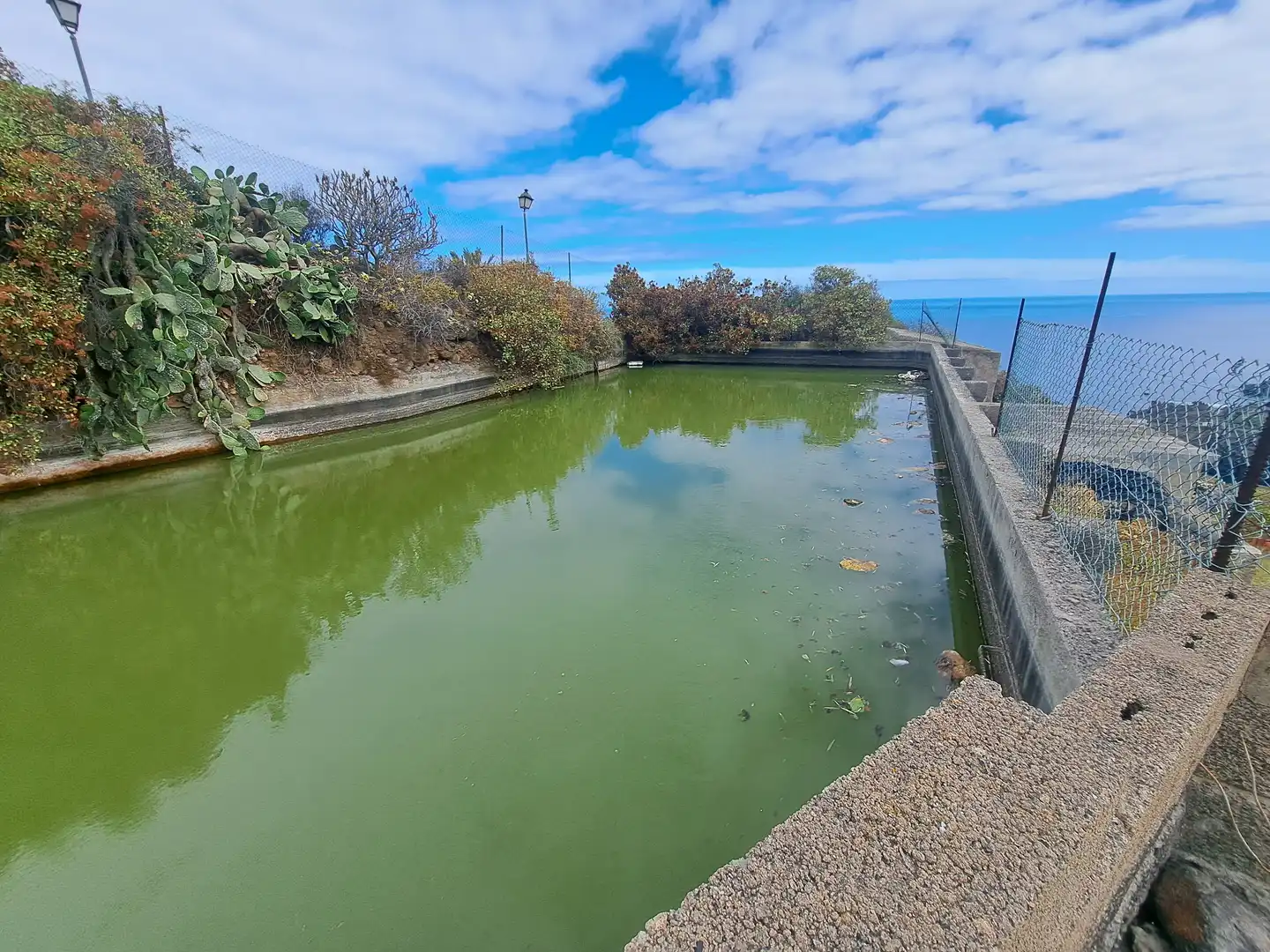 Swimming pool of Land for sale in La Guancha