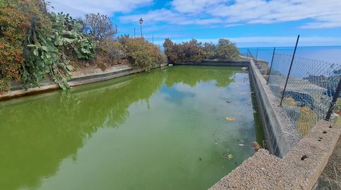 Photo 3 of Land for sale in La Cascajera S/nº, La Guancha, Santa Cruz de Tenerife