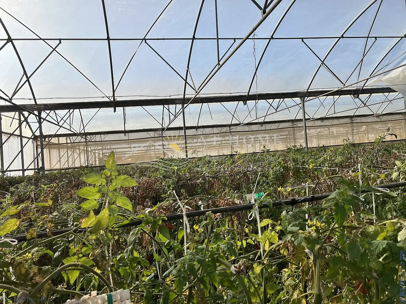 Terrenys i solars en venda a Algarrobo pueblo, imagen 7